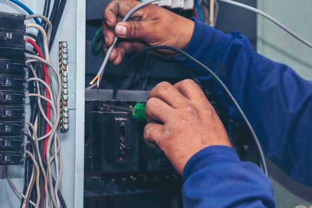 Best Electrician for Home Renovation  in Springville, UT